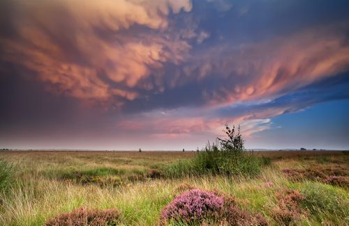 Prairies's cover