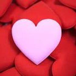 Can't believe it's cover