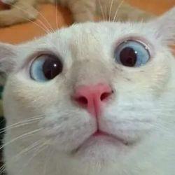 Me on a Monday's cover