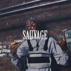 Backstreet Beat's cover