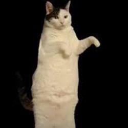 The Rise chap.THE END's cover