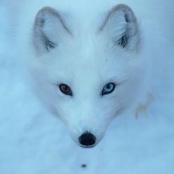 Room full of strings's cover