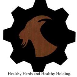 Keep Looking's cover