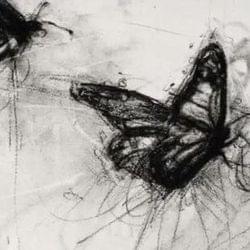 Night Light vibes's cover