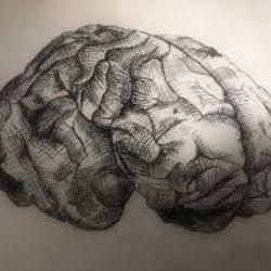 Brainz In Th3 JUnkyard's cover