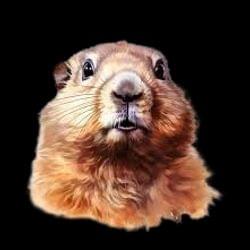 Tupac's twin's cover