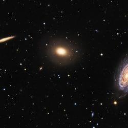 Illuminated stars's cover