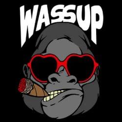 Wassup's cover