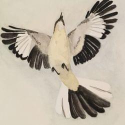 𝕋𝕠 𝕂𝕚𝕝𝕝 𝔸 𝕄𝕠𝕔𝕜𝕚𝕟𝕘𝕓𝕚𝕣𝕕 -𝕍𝕒𝕟𝕚𝕝𝕝𝕒~𝕀𝕣𝕚𝕚𝕤's cover