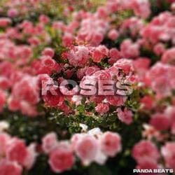 Panda Beats - Roses's cover