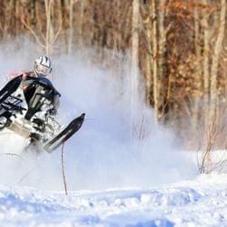 Big back skis's cover