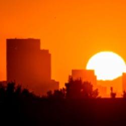 Life in the city's cover