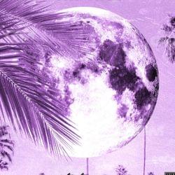 So what happened's cover